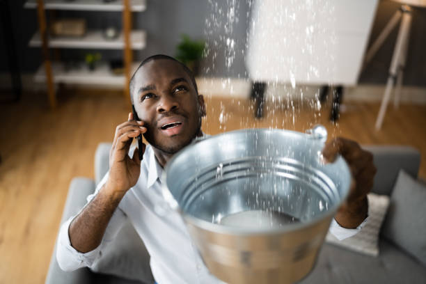 Best Professional water damage repair  in Reno, TX