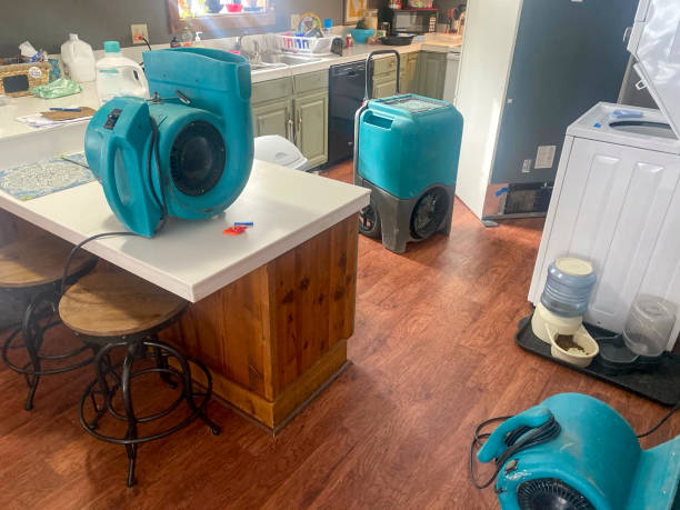 Best Water damage mitigation services  in Reno, TX