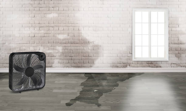 Best Commercial water damage restoration  in Reno, TX